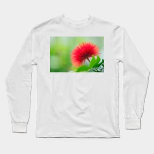 Calliandra haematocephala (C020/7122) Long Sleeve T-Shirt